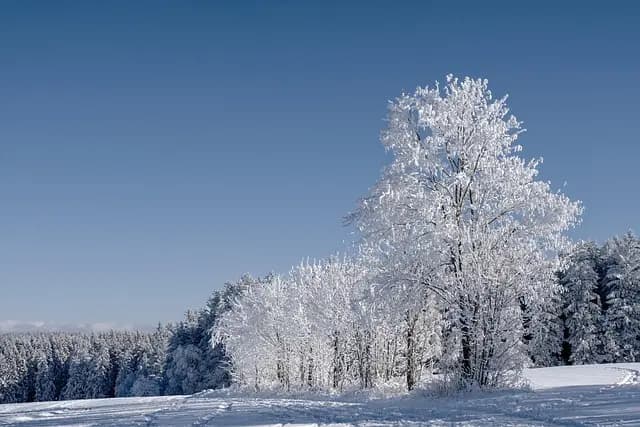 Guía de estilo: Cómo elegir el abrigo perfecto para el invierno