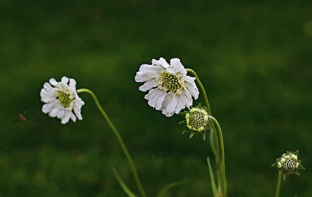 Cómo elegir la camisa perfecta para cada ocasión